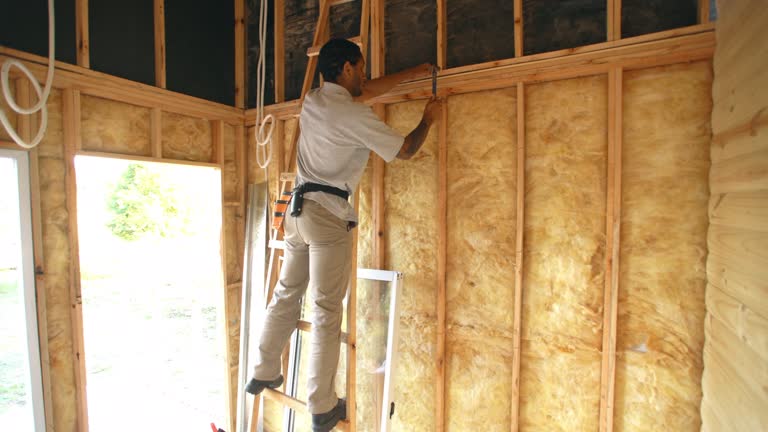 Best Basement Insulation  in Terrell, TX